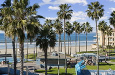 29999017