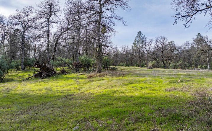 Pictures of Land property located at 033 Soleado Ln, Redding, CA 96001 for sales - image #1