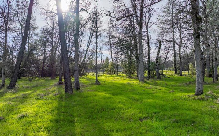 Pictures of Land property located at 034 Soleado Ln, Redding, CA 96001 for sales - image #1