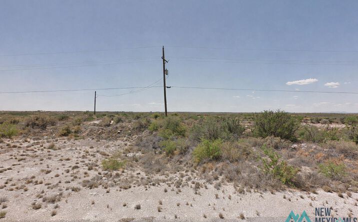 Pictures of Land property located at 699 E Derrick Road, Carlsbad, NM 88220 for sales - image #1
