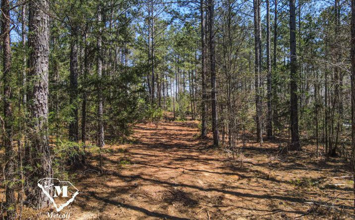 Pictures of Land property located at Asbury Rd, Pacolet, SC 29372 for sales - image #1