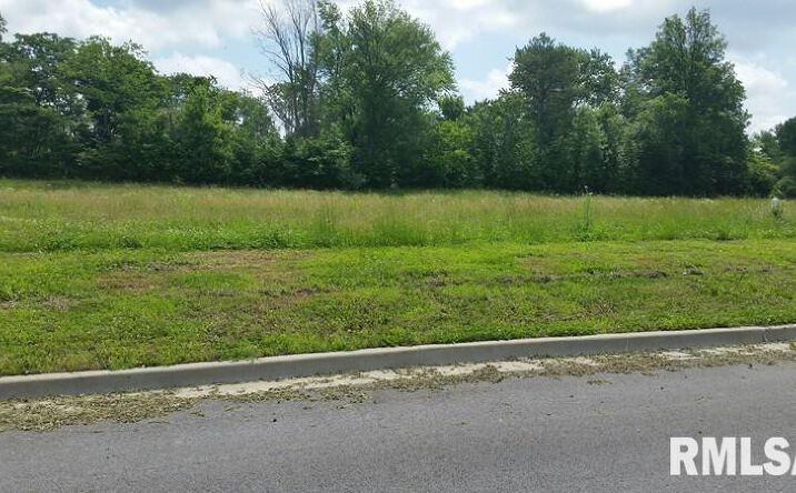 Pictures of Land property located at Lot 2 FINANCIAL, Carbondale, IL 62901 for sales - image #1