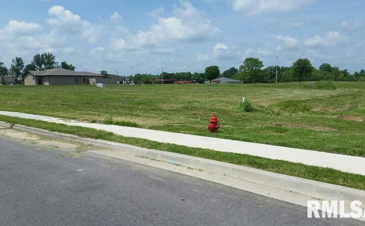 Pictures of Land property located at Lot 8 FINANCIAL, Carbondale, IL 62901 for sales - image #1