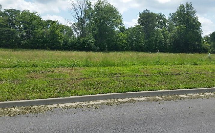Pictures of Land property located at Lot 3 FINANCIAL, Carbondale, IL 62901 for sales - image #1