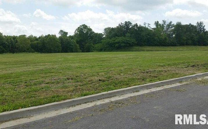Pictures of Land property located at Lot 13 FINANCIAL Loop, Carbondale, IL 62901 for sales - image #1