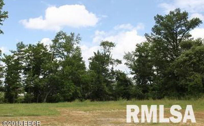 Pictures of Land property located at 1414 E WALNUT Street, Carbondale, IL 62902 for sales - image #1