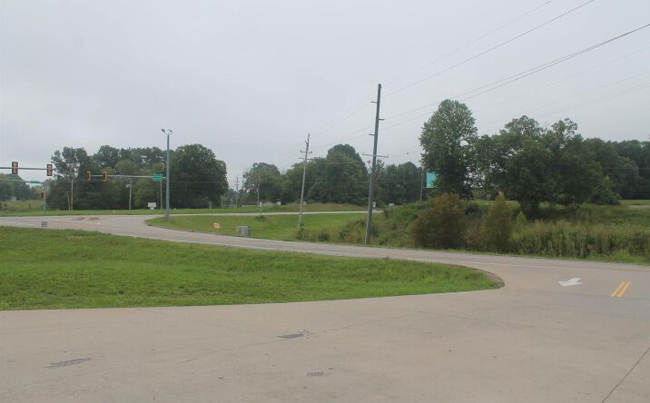 Pictures of Land property located at S Highway 51 Highway, Makanda, IL 62958 for sales - image #1