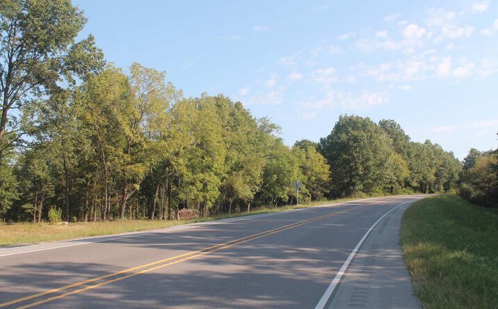 Pictures of Land property located at N US Hwy 51 Highway, Desoto, IL 62924 for sales - image #1