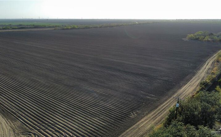 Pictures of Land property located at TBD S Capisallo Road, Mercedes, TX 78570 for sales - image #1