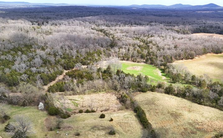 Pictures of Land property located at Bunker Hill Rd, Eagleville, TN 37060 for sales - image #1