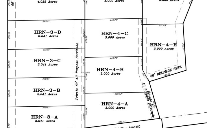 Pictures of Land property located at La Hwy 40, Independence, LA 70443 for sales - image #1
