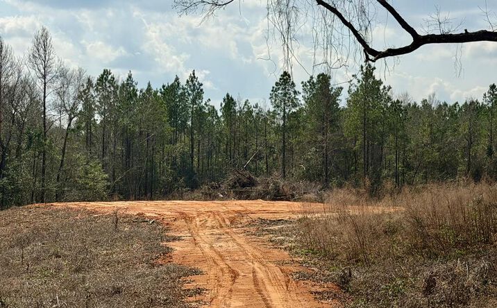 Pictures of Land, Multifamily, Special Purpose property located at 33 Nelson Road, Poplarville, MS 39470 for sales - image #1
