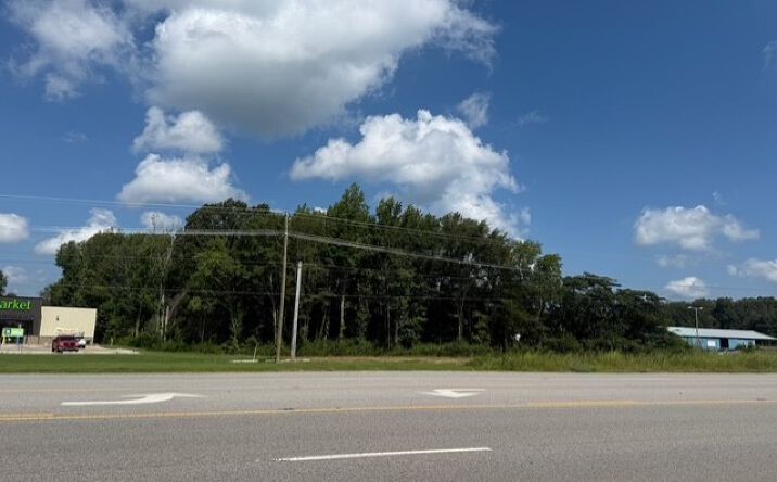 Pictures of Land property located at 0 Hwy 43 N, Killen, AL 35645 for sales - image #1