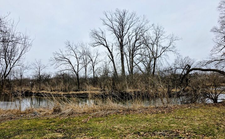 Pictures of Land property located at Lot 207 N Cedar Road, New Lenox, IL 60451 for sales - image #1
