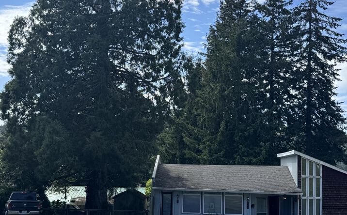 Pictures of Mixed Use property located at 173 NE Hwy 20, Toledo, OR 97391 for sales - image #1