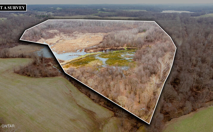Pictures of Land property located at 320 Durid Lane, Paris, TN 38242 for sales - image #1