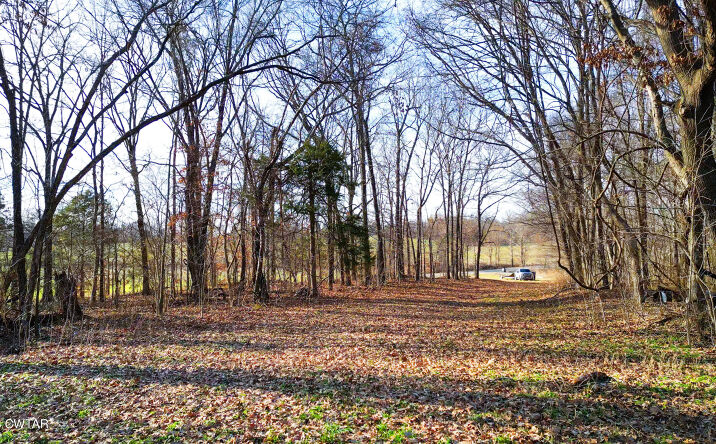 Pictures of Land property located at 43 Esquire Hunt Road, Humboldt, TN 38343 for sales - image #1