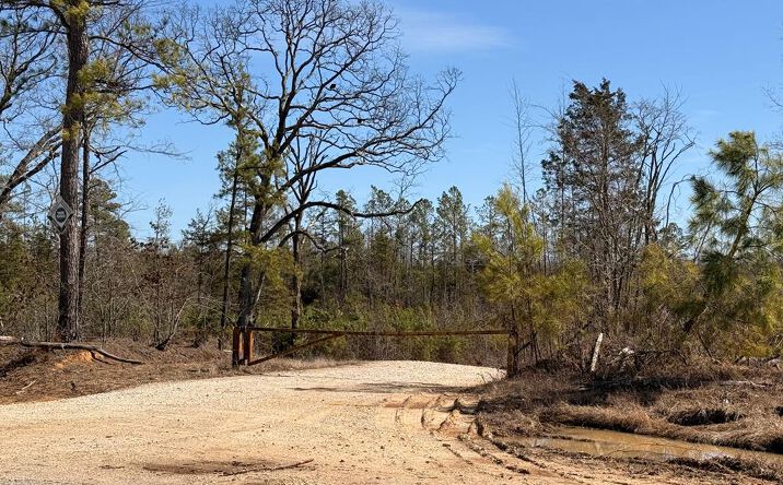 Pictures of Land property located at Haglersville Rd, Mansfield, TN 38236 for sales - image #1
