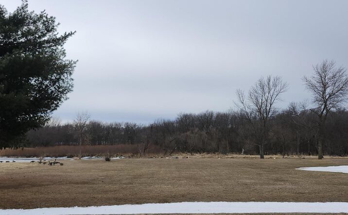 Pictures of Land property located at 1902 West River Dr, Humboldt, IA 50548 for sales - image #1