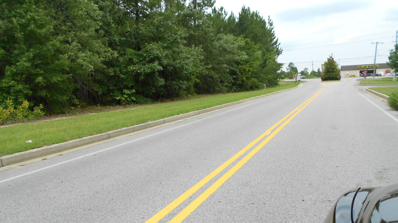 312 Amicks Ferry Rd, Chapin, SC 29036