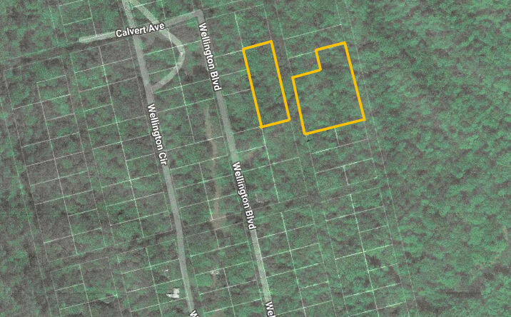 Pictures of Land property located at 2nd St E, Nanjemoy, MD 20662 for sales - image #1