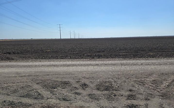 Pictures of Land property located at Off Leal Rd., San Benito, TX 78006 for sales - image #1