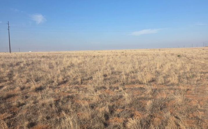 Pictures of Land property located at TBD County Rd 390, Denver City, TX 79323 for sales - image #1