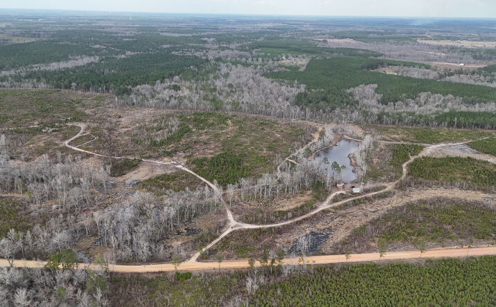 Pictures of Land property located at Graham rd, Cadwell, GA 31009 for sales - image #1