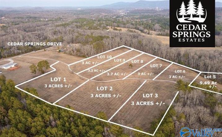 Pictures of Land property located at Lot 10 Cedar springs, Jacksonville, AL 36265 for sales - image #1