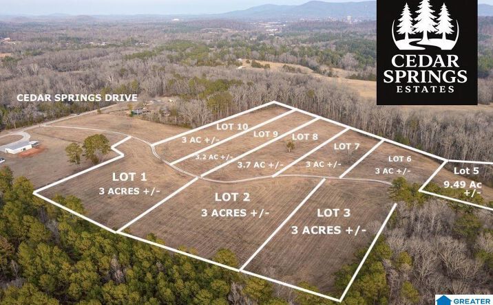 Pictures of Land property located at Lot 3 Cedar Springs Dr, Jacksonville, AL 36265 for sales - image #1