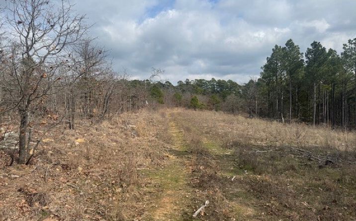 Pictures of Land property located at E 1732 Road, Clayton, OK 74536 for sales - image #1