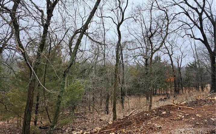 Pictures of Land, Special Purpose property located at 6 & 10 Live Oak Drive, Linn Valley, KS 66040 for sales - image #1