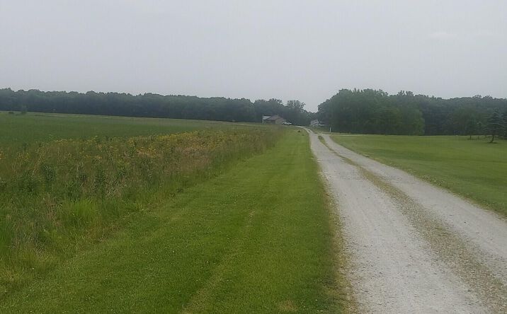 Pictures of Land property located at 17022 Mount St Holtz Road, Lowell, IN 46356 for sales - image #1