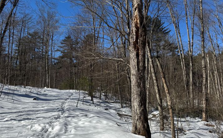 Pictures of Land property located at Lot 32 Woodstone Trail, Bethel, NY 12720 for sales - image #1