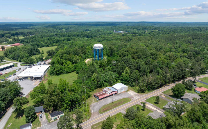 Pictures of Retail property located at 348 & 364 W Main Street, Decaturville, TN 38329 for sales - image #1
