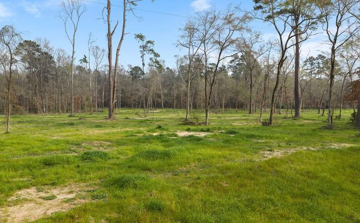 Pictures of Land property located at Lot 2 Davisville Road Lufkin, TX., Lufkin, TX 75901 for sales - image #1