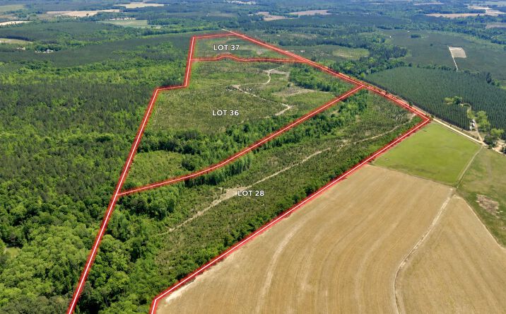 Pictures of Land property located at 0 Graham Rd, Cadwell, GA 31009 for sales - image #1