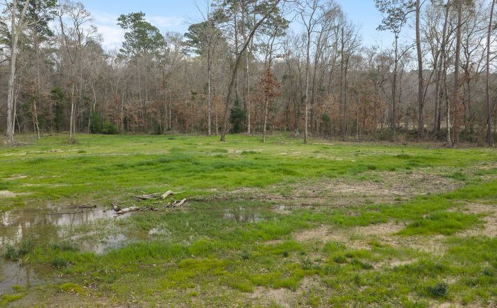 Pictures of Land property located at Lot 4 Davisville Road Lufkin, TX., Lufkin, TX 75901 for sales - image #1