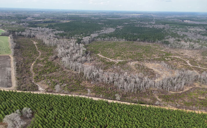 Pictures of Land property located at 1 Graham Rd, Cadwell, GA 31009 for sales - image #1