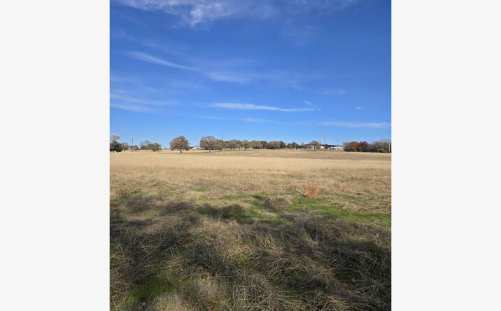 Pictures of Land, Mixed Use, Multifamily, Special Purpose property located at TBD 2 FM 730, Decatur, TX 76234 for sales - image #1