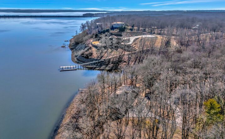 Pictures of Land property located at 412 Keck Ln, Buchanan, TN 38222 for sales - image #1