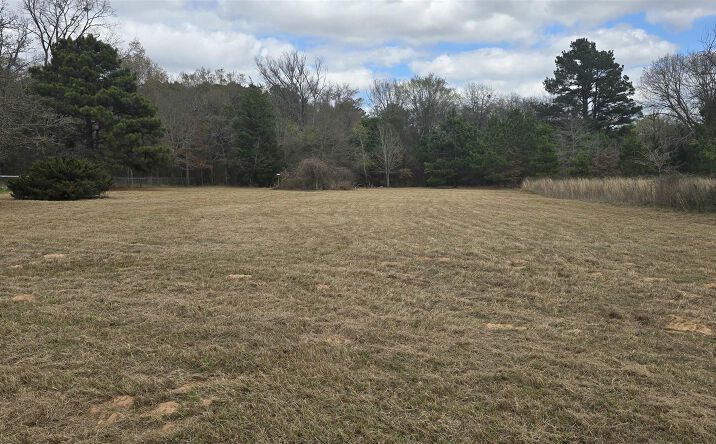Pictures of Land property located at San Saba St, Shadybrook, TX 75757 for sales - image #1