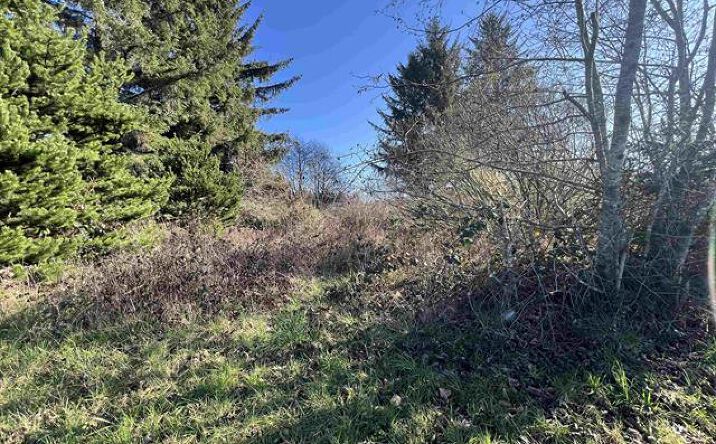 Pictures of Industrial, Land property located at 637 Elk Valley Rd, Crescent City, CA 95531 for sales - image #1