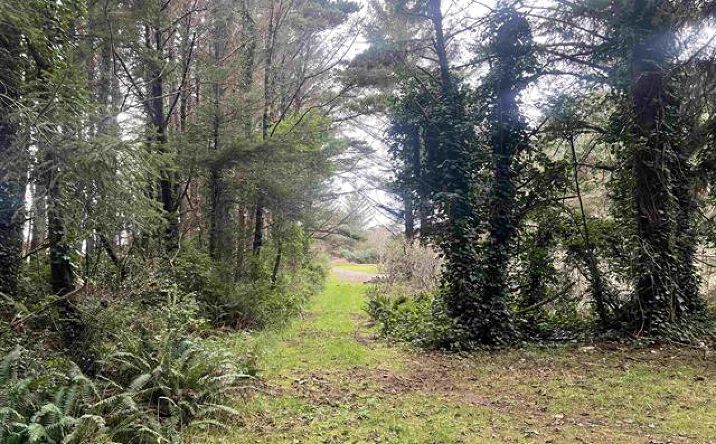 Pictures of Land property located at 000 Keller, Crescent City, CA 95531 for sales - image #1