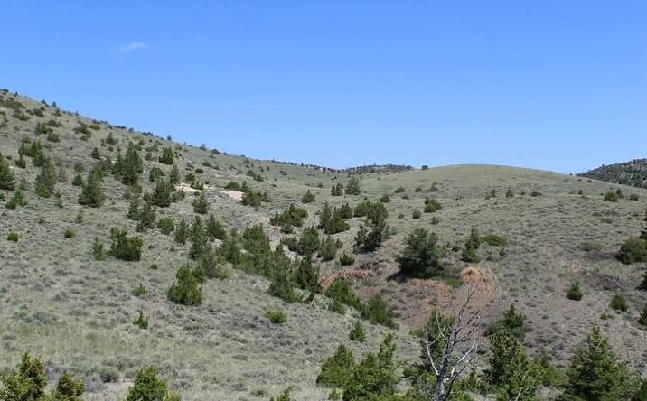 Pictures of Land property located at TBD Silver Light Lode & Champion Lode, Radersburg, MT 59641 for sales - image #1