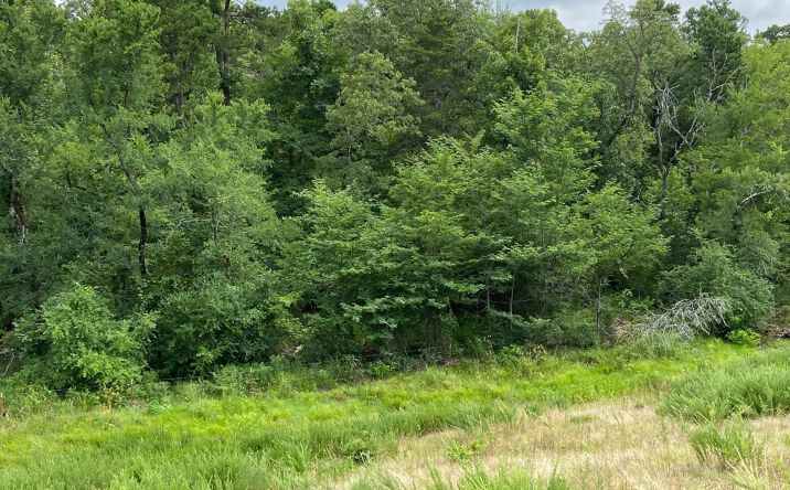 Pictures of Land property located at W State Hwy 3, Ringold, OK 74754 for sales - image #1
