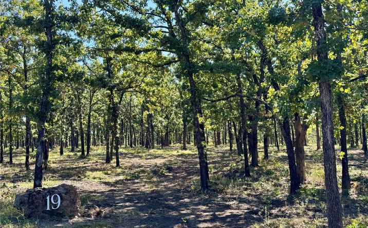 Pictures of Land property located at 19 260th Street, Beggs, OK 74421 for sales - image #1