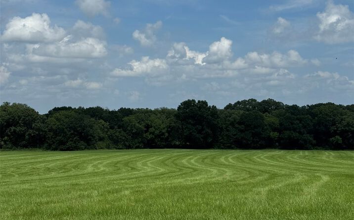 Pictures of Land property located at 4090 Miller Jumbo Road, Antlers, OK 74523 for sales - image #1