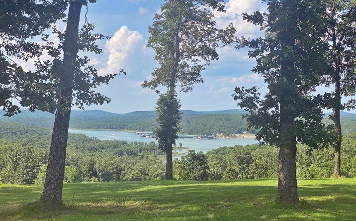 Pictures of Land property located at 36313 S Red Oak Road, Park Hill, OK 74451 for sales - image #1