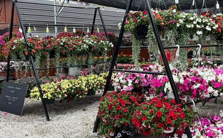 Pictures of Business for Sale, Retail property located at 1451 S Buckner Tarsney Road, Grain Valley, MO 64029 for sales - image #1